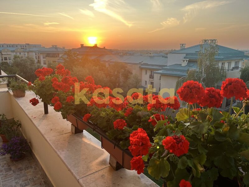 Cosmopolis, terasa, 2 locuri parcare